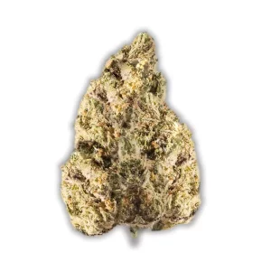 Avaay 15/1 PYC: Peyote Critical – Produktbild des Anbieters CanDoc