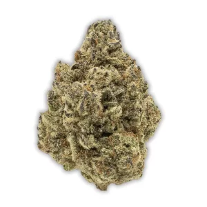 CANN JGN / 26: Motor Crasher – Produktbild des Anbieters CanDoc