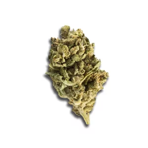 Eufloria 30/1 LBA: LA Baker – Produktbild des Anbieters CanDoc