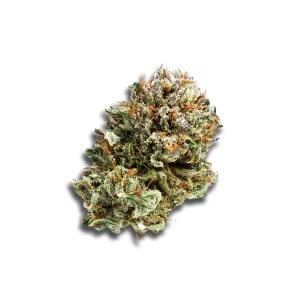 Tannenbusch 31/1 Tf Tubitti Frubitti – Produktbild des Anbieters CanDoc