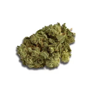 Weeco Duke 24/1 Purple Rain – Produktbild des Anbieters CanDoc