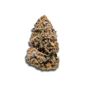 Truu Gt 30:01 Cookies Og – Produktbild des Anbieters CanDoc