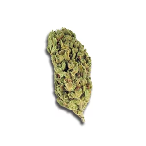Zoiks 22/1 SLD: Sun Lemon Diesel – Produktbild des Anbieters CanDoc