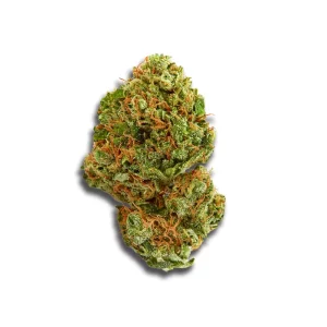 Medical Saints 24/1 LEM: Lemonatti – Produktbild des Anbieters CanDoc