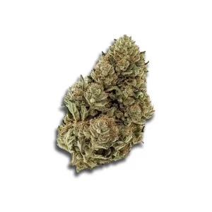 Nice 29/1 Mos Morning Sun – Produktbild des Anbieters CanDoc
