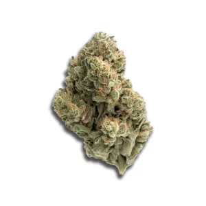 Avaay Signature 23/1 Byy Blueberry Yum Yum – Produktbild des Anbieters CanDoc