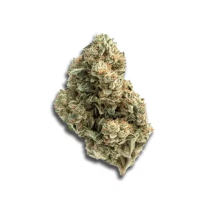 Avaay 29/1 Cp Candy Pave – Produktbild des Anbieters CanDoc
