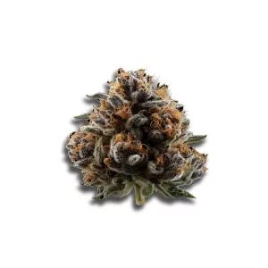 Cannabis 1a 18/1 White Widow – Produktbild des Anbieters CanDoc