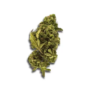 420 Natural 15/1 Ca Trp Tropicana Cookies – Produktbild des Anbieters CanDoc