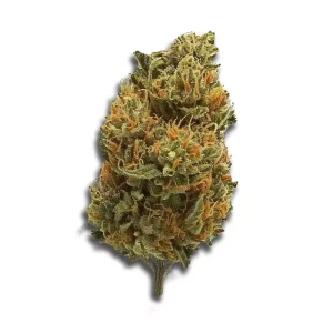 Cannamedical Indica Classic Sf Royal Berry – Produktbild des Anbieters CanDoc