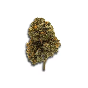 CRQSH GKY 25/1: Gas Monkey – Produktbild des Anbieters CanDoc