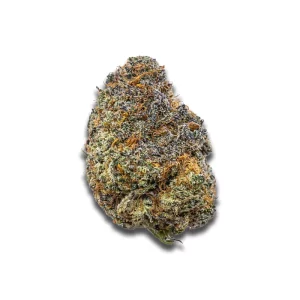 Luana 24/1 Rainbow: Papaya Bomb – Produktbild des Anbieters CanDoc