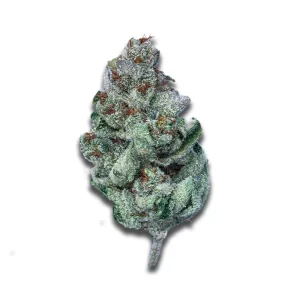 Cannamedical Sativa Classic Sa Jack Herer – Produktbild des Anbieters CanDoc
