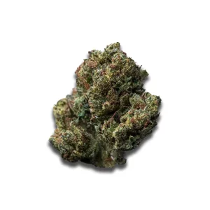 Nimbus Easy 25/1: Super Boof – Produktbild des Anbieters CanDoc