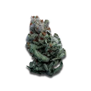 Cannabis flos 24/1 CZE Ku. Platinum Garlic – Produktbild des Anbieters CanDoc
