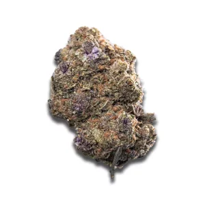 Cannamedical Cm 28/1 Craft Lotus – Produktbild des Anbieters CanDoc