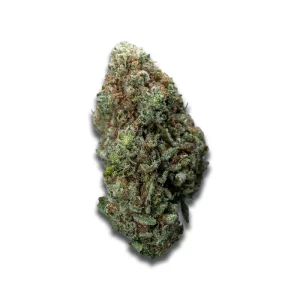 420 Evolution 25/1 Ca Str Star Struck – Produktbild des Anbieters CanDoc