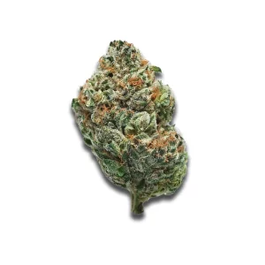 Bc Green Ppb 20/1 Pink Platinum Banana – Produktbild des Anbieters CanDoc