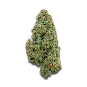 Briah Gp 29 Grape Pie – Produktbild des Anbieters CanDoc