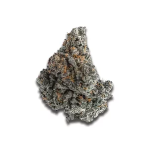 Buuo 20/1 TMS: Black Marble – Produktbild des Anbieters CanDoc
