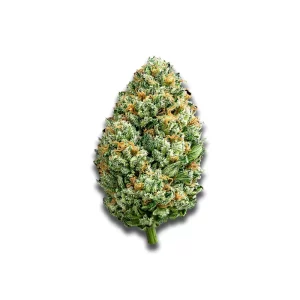 Imc Thc25 T02 Og Kush – Produktbild des Anbieters CanDoc