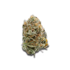 Bathera 25/1 Bz Blue Z – Produktbild des Anbieters CanDoc