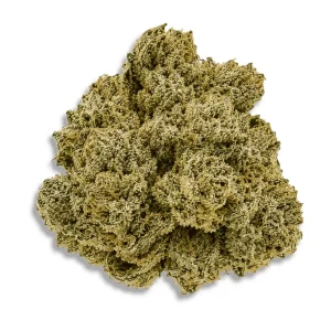 Aleph Amber 26/1 Mango Kush – Produktbild des Anbieters CanDoc