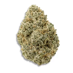 Buuo 24/1 Sblm Sour Blue Lemon – Produktbild des Anbieters CanDoc
