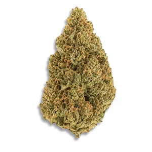 Demecan Core Pulse 25/01 Zativa – Produktbild des Anbieters CanDoc
