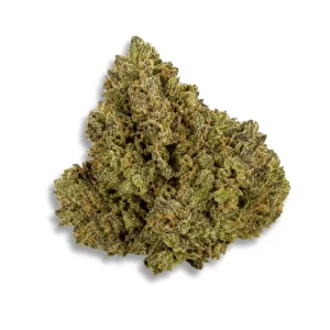 Eufloria 33/1 Lba La Baker – Produktbild des Anbieters CanDoc