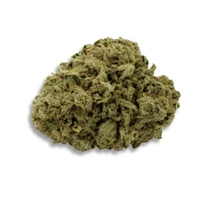 Coyote Valley 20/1 Np Needle Point – Produktbild des Anbieters CanDoc