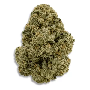 Kush Mountain Craft 27/1 Gth Ghost Train Haze – Produktbild des Anbieters CanDoc