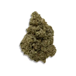 SanRaf 31/1 CFK: Campfire Kush – Produktbild des Anbieters CanDoc
