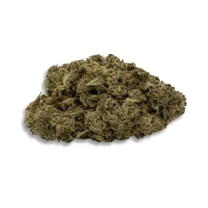 Medical Saints 24/1 Mc1 Mac 1 – Produktbild des Anbieters CanDoc