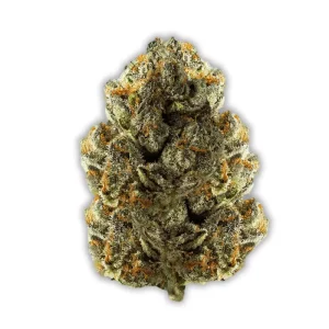 Cantourage Mac 1 – Produktbild des Anbieters CanDoc