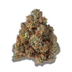 420 Evolution 25/1 CA BUL: Bucket List – Produktbild des Anbieters CanDoc