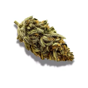 420 Compound 33/1 CA GAP: Gastro Pop – Produktbild des Anbieters CanDoc