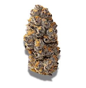 WTF 21/1 MIC TAP: Tangerine Punch – Produktbild des Anbieters CanDoc