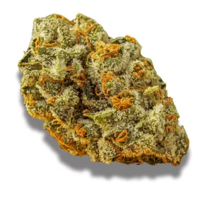 Imc Thc20 T01 Hk Hindu Kush – Produktbild des Anbieters CanDoc