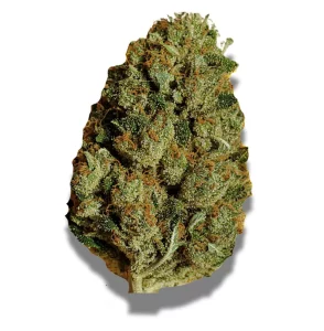Remexian 27/1 Gjy Grg Grape Galena – Produktbild des Anbieters CanDoc