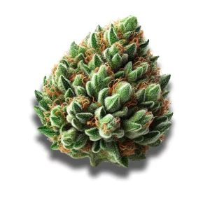 Tilray THC 18 Spotlight Porto: Island Sweet Skunk – Produktbild des Anbieters CanDoc