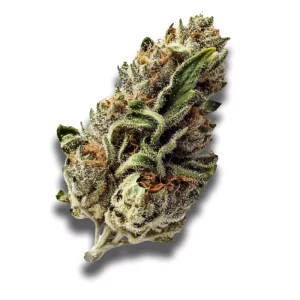 420 Sungrown 25/1 CA LLY: Legendary Larry – Produktbild des Anbieters CanDoc
