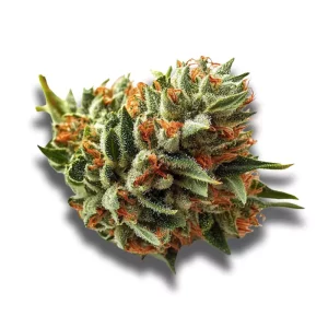 420 Sungrown 27/1 CA LLY: Legendary Larry – Produktbild des Anbieters CanDoc