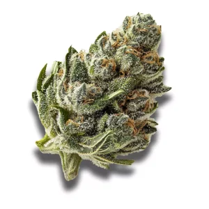 Remexian 27/1 CBT CHK: Chemical Kush – Produktbild des Anbieters CanDoc