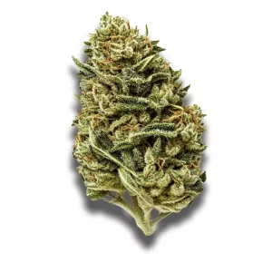 Remexian 30/1 TWE GBY: Gorilla Berry – Produktbild des Anbieters CanDoc