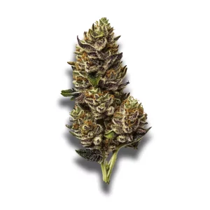Remexian 30/1 MTL JUC: Jungl‘ Cake – Produktbild des Anbieters CanDoc
