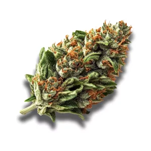 Tilray THC 9 : CBD 9: Warlock – Produktbild des Anbieters CanDoc