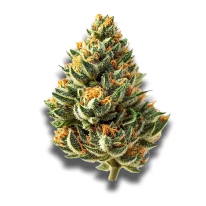 Remexian 16/1: Amnesia Lemon – Produktbild des Anbieters CanDoc