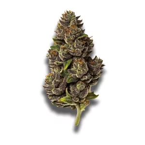 Pedanios 20/1: LA Confidential – Produktbild des Anbieters CanDoc