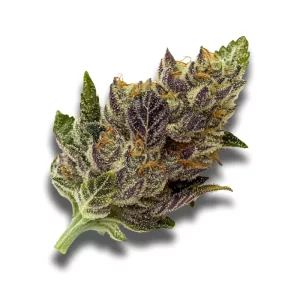 Avaay 34/1 MIM: Midnight Mimosa – Produktbild des Anbieters CanDoc